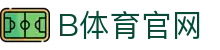 B体育官方网站首页 - 全球热门赛事同步直播